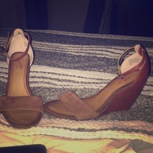 Seychelles brown wedge